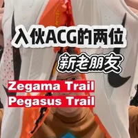 Nike ACG系列两款新品跑鞋开箱：Pegasus与Zegama配置解析