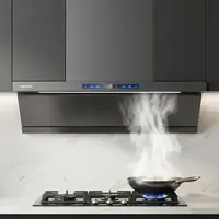 被严重低估的国货之光？帅康星云大厨AY869深度拆解