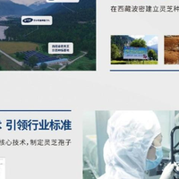 什么牌子灵芝孢子油效果好？行业标杆品牌的全链路实力揭秘