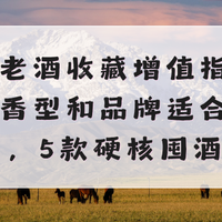陈年老酒收藏增值指南：哪些香型和品牌适合长期囤放，5款硬核囤