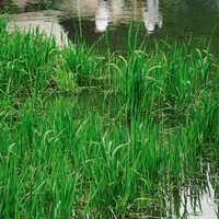 黑卡7｜阴天也能拍