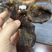 新会陈皮科普｜作用+选购，九妹陈皮柑老九性价比高