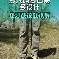 龙牙战凌战术裤核心参数与实测体验