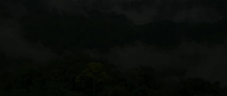 红茶与绿茶：口感及适用场景的主要区别