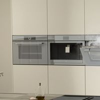 2026豪宅厨房用什么蒸烤一体机？瑞族让每一餐都成为米其林级家庭