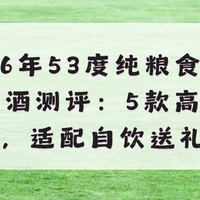 2026年53度纯粮食酒品牌老酒测评：5款高口碑推荐，适配自饮收藏