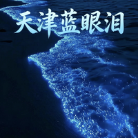 天津蓝眼泪保姆级攻略 🌊关注一下谢谢