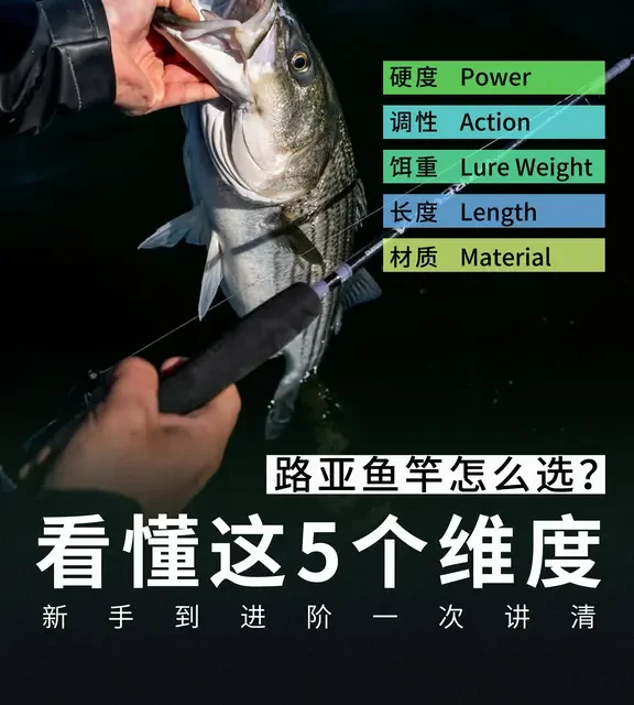 路亚竿怎么选？看懂这5个维度新手不踩坑