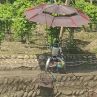 起猛了！成都鱼塘惊现机器人钓鱼 公司回应：鱼是提前挂上的