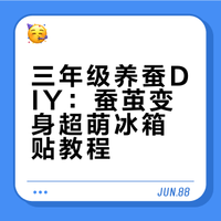 三年级养蚕DIY｜蚕茧变超萌冰箱贴✨