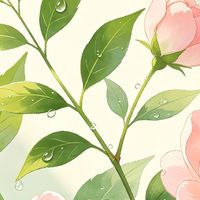 【春季护肤干货】换季烂脸？这套精简思路请收好！