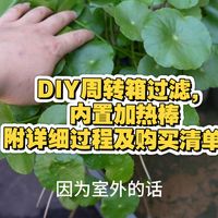 不到50元，DIY一套周转箱过滤，内置温控器，加热棒，附详细过程及购买清单。龟缸过滤鱼缸过滤都可以用。