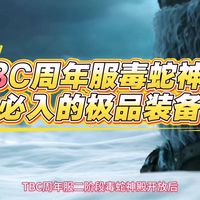 魔兽世界：TBC周年服P2毒蛇神殿必入极品，谁才是你心中的神装？
