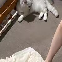 告别“收纳焦虑”！三件平价神器，让你的家瞬间清爽翻倍