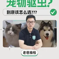 宠物驱虫误区与实测：如何阻断家庭内部寄生虫传播