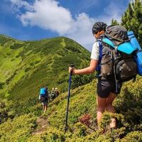 大容量登山包背负系统真能扛？实测20kg后腰不酸的秘密在这