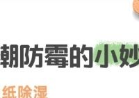 别再瞎忙活了！换季收纳+防潮除霉+旧物焕新，这套帮你省80%力气