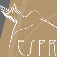 Esprit Beta G9深度解析：听感的理性回归