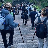 登山杖有必要买碳纤维吗？五一爬个泰山，几十块的铝杖够不够？