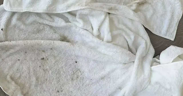 51假期出游要住酒店，必备的2样东西