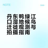 丹东鸭绿江口湿地，是东亚 — 澳大利西亚候鸟迁飞通道的关键驿站。每年 3—5 月，数十万只鸻鹬类候鸟在此停歇补给。佳能专微相机EOS R1与EOS R5 II搭配RF长焦镜头，记录万鸟齐飞形成的震撼鸟浪，尽显自然壮美与生态保护成果。# # # # # # # 爱鸟国际的微博视频