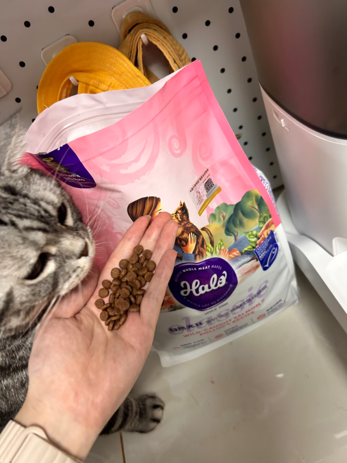 自然光环猫咪干粮
