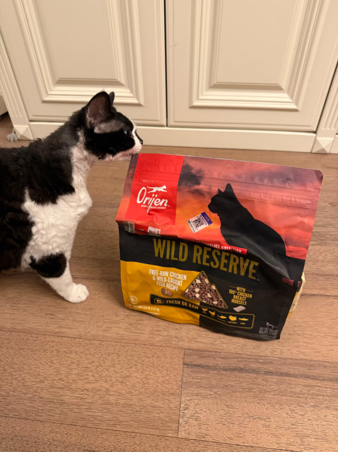 渴望猫咪干粮