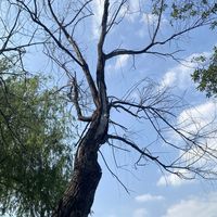 换一换家里的油，全身炎症降低了