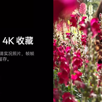 2026年6000-8000元旗舰推荐：创作者/旅拍/演唱会爱好者首选