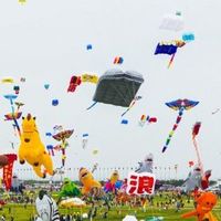 别卷了，去浪吧！顾家家居在潍坊上空替成年人说了句真心话