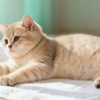 后悔没早看！旅行街拍党闭眼入的全焦段镜皇对决：索尼24-105mm vs 适马20-200mm，谁才是真·一镜走天下？