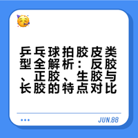 乒乓球拍胶皮的反胶，正胶，生胶和长胶各有什么特点