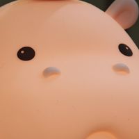 被问爆了软乎乎的河马拍拍灯小夜灯，一拍就亮还能定时关