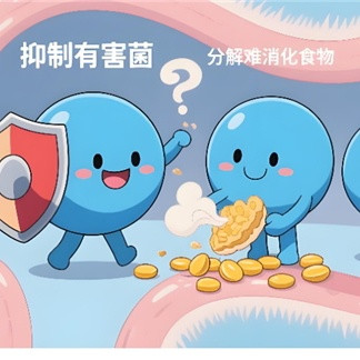 久坐肠道不通畅吃什么成分益生菌？FDA认证：专利菌株包埋锁活