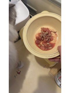 金故生骨肉试喂，挑食猫也主动干饭