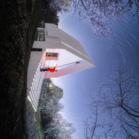 长春阿那亚｜杏花坠入星轨