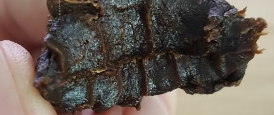 黄精哪个牌子适合送父母？2026温和黄精，归一食体面实用口碑佳