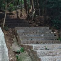 我的追风日记：记录第一次带家人去爬紫金山