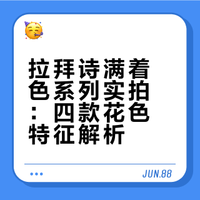原相机实拍｜普通人试戴拉拜诗满着色系列