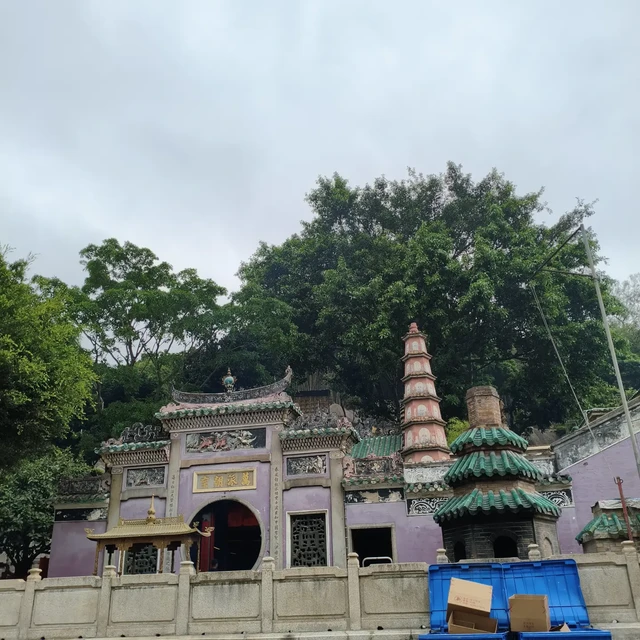 澳门免费深度CityWalk，藏着太多文化与艺术