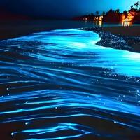 2026平潭岛蓝眼泪最全追泪攻略💧收藏这一篇就对了❗