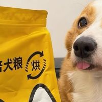 狗狗挑食不吃狗粮怎么办？挑食选什么狗粮？疯狂小狗还是比乐？