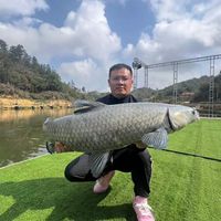 创威烧火棍二代，钓什么鱼？钓多大鱼？（内有福利）