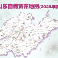 春天来了，山东人都能去哪里赏花？（附山东16市赏花地图，2026年版！）