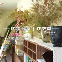 家居绿植与鲜花的美学搭配指南