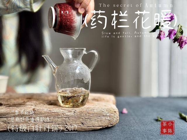 煮茶和闷茶，不都是持续高温吗？为什么白茶“能煮却不能闷”？