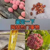 自榨花生油与品牌油的风险与工艺对比分析