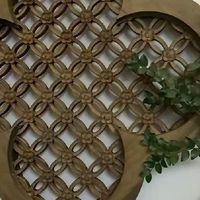免打孔壁挂花瓶太绝了！大白墙秒变治愈角落