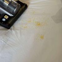 已老实！莱克M6 Ultra给我干沉默了