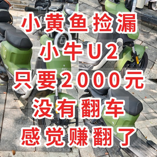 小黄鱼捡漏小牛U2，只要2000元，没有翻车，感觉是赚翻了